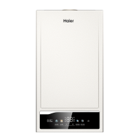 Газовый котёл Haier EliteLine 2.24 TW